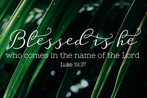 sunday_06_palmsunday_cyclec_ot_2_496x331