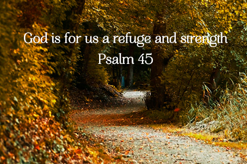 dedication_lateran_basilica_1_496_331