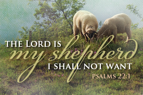 sunday_easter_4_cycle_a_1_496-331